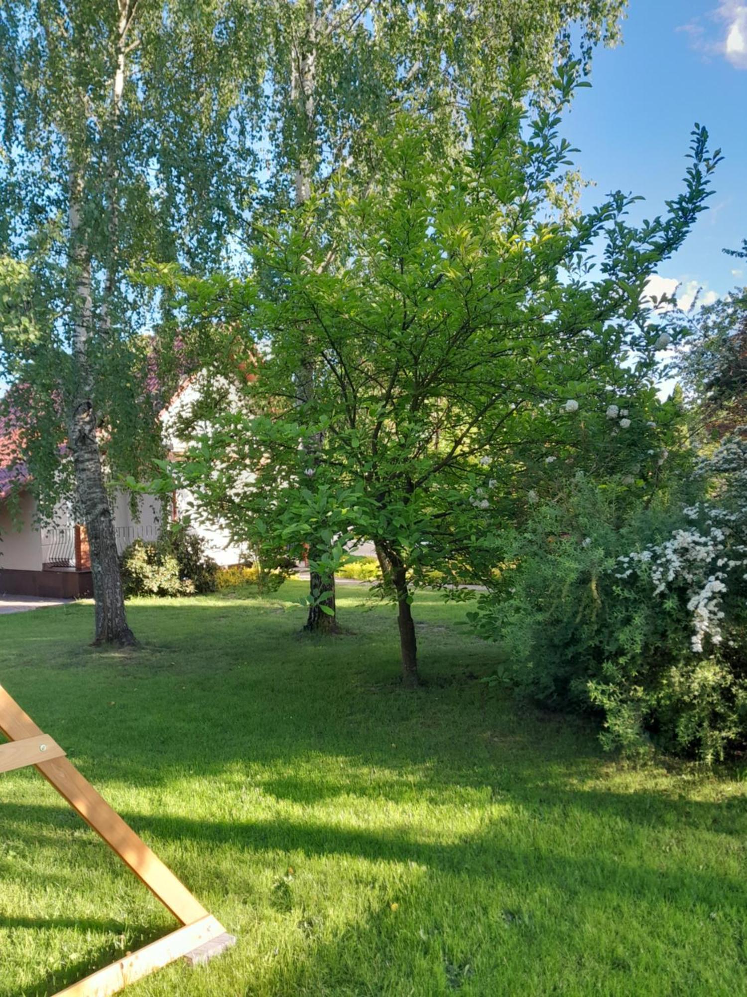 Domek Pod Brzozami Z Jacuzzi ,Grillem I Tarasem Przemyśl Eksteriør billede
